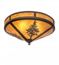  217917 - 20" Wide Tamarack Flushmount