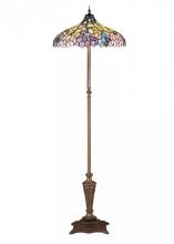  30451 - 64"H Wisteria Floor Lamp