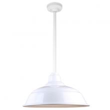  H-QSN15117-SA-93/QSN24ST3-93/QSNHSC-93 - 17" Ceiling Stem Light