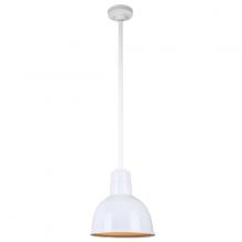  H-QSN16110-SA-93/QSN36ST3-93/QSNHSC-93 - 10" Ceiling Stem Light