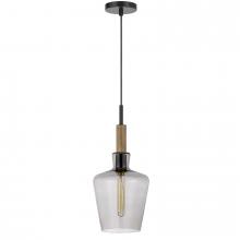  FX-3779-1 - Swindon glass drop pendant with wood accent