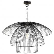  10796 - Canopy Pendant