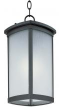  65759FSBZ - Terrace LED E26-Outdoor Hanging Lantern