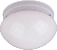  85881WTWT - Utility EE-Flush Mount