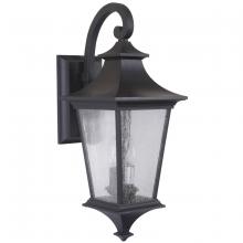  Z1364-MN - Argent II 2 Light Medium Outdoor Wall Lantern in Midnight