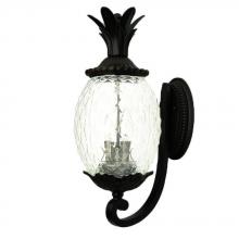  7511BK - Lanai Collection Wall-Mount 3-Light Outdoor Matte Black Light Fixture