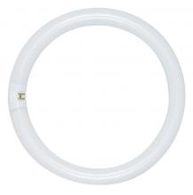  S6500 - 22 Watt; T9; Circline Fluorescent; 4100K Cool White; 62 CRI; 4-Pin base