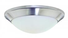  5401-09 - Rainier 1Lt Flushmount Satin Nickel