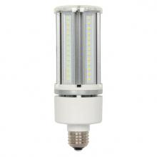  3516500 - 22W T19 LED 5000K E26 (Med) Base, 120-277 Volt, Box