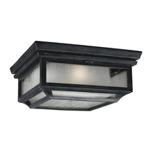  OL10613DWZ - Flush Mount