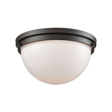  CN120231 - FLUSH MOUNT